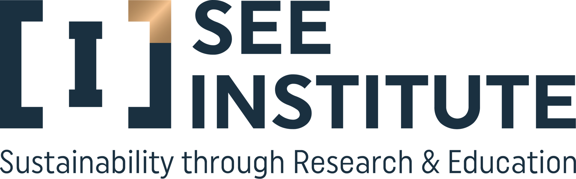 SEE Institute